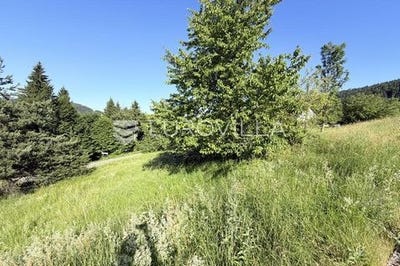 /international/hr/ravna-gora-primorje-gorski-kotar-county-310109107160/
