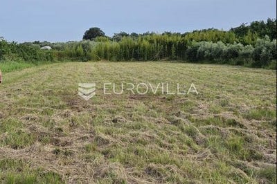 /international/hr/umag-istria-county-310100522818/