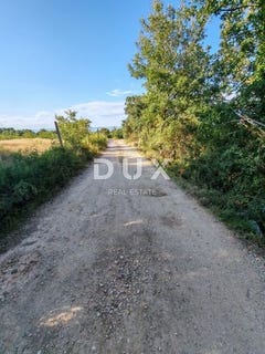 /international/hr/zadar-zadar-county-310100548683/