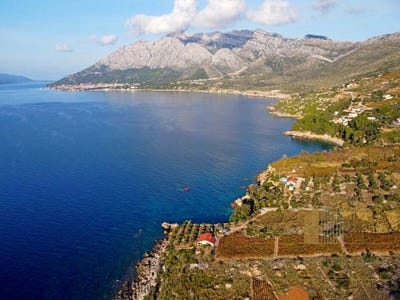 /international/hr/orebic-dubrovnik-neretva-county-310098114964/