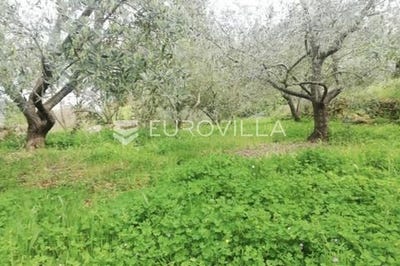 /international/hr/zadar-zadar-county-310106194908/