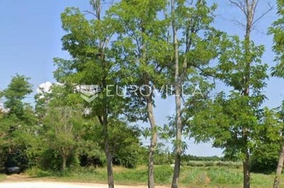 /international/hr/umag-istria-county-310100611357/