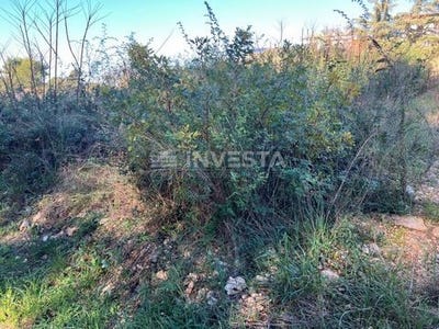 /international/hr/pula-istria-county-310100041663/