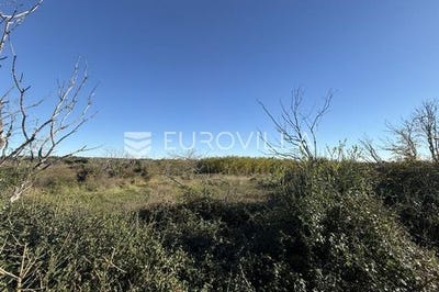 /international/hr/pula-istria-county-310105833369/