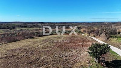 /international/hr/buje-istria-county-310108927424/
