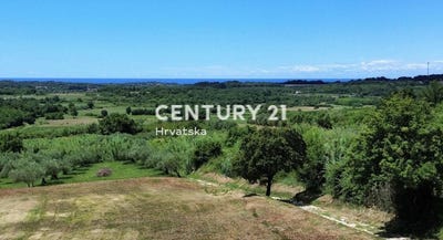 /international/hr/istarska-zupanija-istria-county-310106856908/