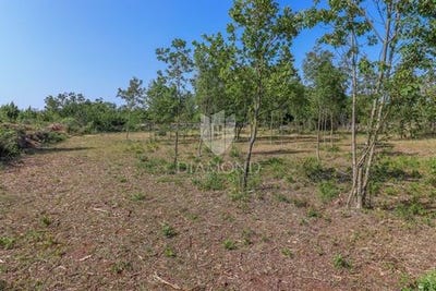/international/hr/svetvincenat-istria-county-310100461261/?lang=zh-cn