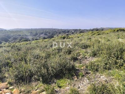 /international/hr/medulin-istria-county-310106222569/