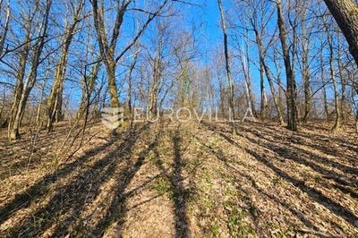 /international/hr/zagreb-zagreb-310106488765/