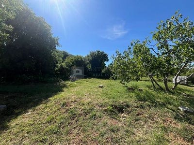/international/hr/vodice-sibenska-ulica-310099624518/