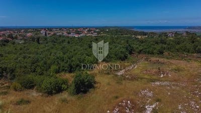 /international/hr/buje-istria-county-310100661053/?lang=zh-tw