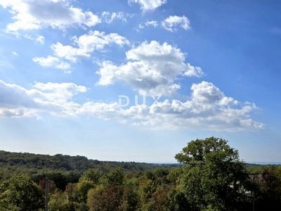 /international/hr/buje-istria-county-310105969690/