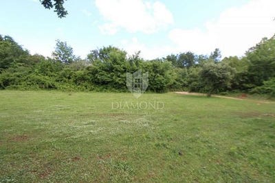 /international/hr/labin-istria-county-310107815187/