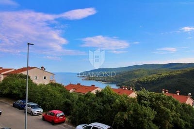 /international/hr/labin-istria-county-310100861009/