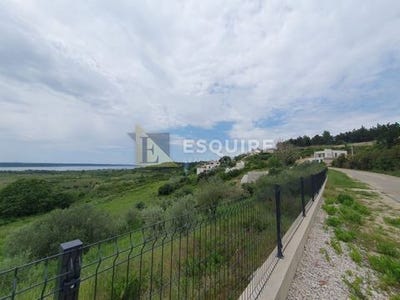 /international/hr/razanac-zadar-county-310103392534/