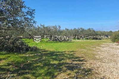 /international/hr/brac-split-dalmatia-county-310104798133/
