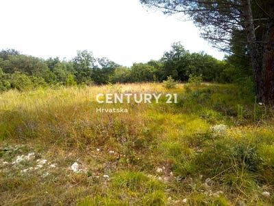 /international/hr/zadarska-zupanija-zadar-county-310106855846/