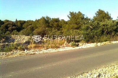 /international/hr/rogoznica-sibenska-ulica-310107679215/