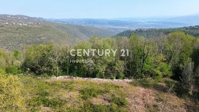 /international/hr/istarska-zupanija-istria-county-310104143567/