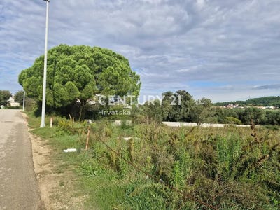 /international/hr/zadarska-zupanija-zadar-county-310106855764/