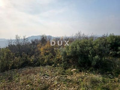 /international/hr/buje-istria-county-310105209882/
