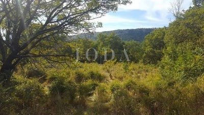 /international/hr/vinodolska-opcina-primorje-gorski-kotar-county-120071799613/