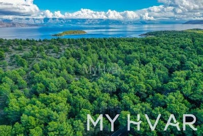 /international/hr/stari-grad-split-dalmatia-county-120092198577/