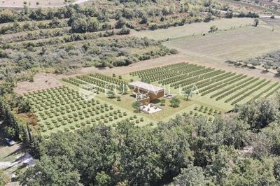 /international/hr/buje-istria-county-120095663464/