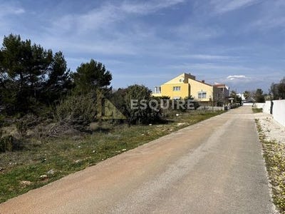 /international/hr/nin-zadar-county-310106463298/