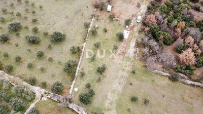 /international/hr/vodnjan-istria-county-310105347583/