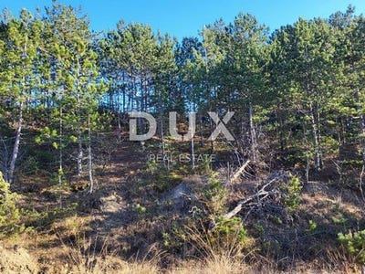 /international/hr/buzet-istria-county-120097796300/
