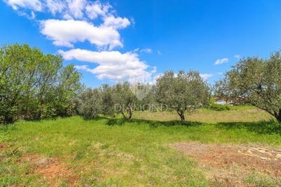 /international/hr/vodnjan-istria-county-310108898263/