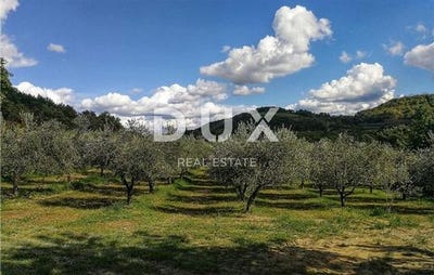 /international/hr/porec-istria-county-310106631779/
