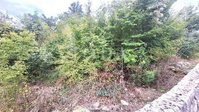 /international/hr/malinska-dubasnica-primorje-gorski-kotar-county-120096359649/