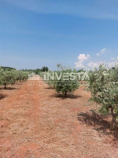 /international/hr/kastelir-labinci-istria-county-120095670765/