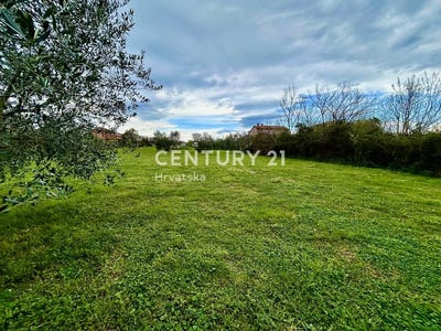 /international/hr/istarska-zupanija-istria-county-310106854479/
