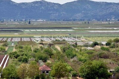 /international/hr/ploce-dubrovnik-neretva-county-310108054547/