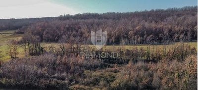 /international/hr/barban-istria-county-310106067546/