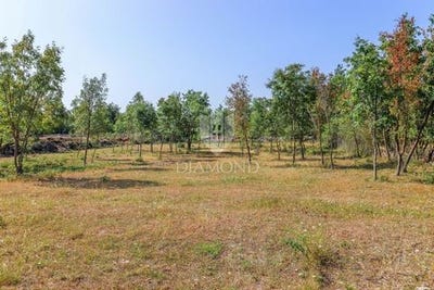 /international/hr/svetvincenat-istria-county-310100460364/?lang=zh-cn