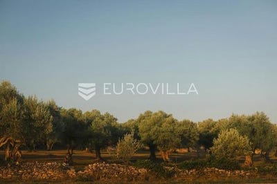 /international/hr/pazin-istria-county-310106519790/