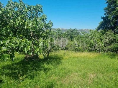 /international/hr/vinodolska-opcina-primorje-gorski-kotar-county-120084917216/