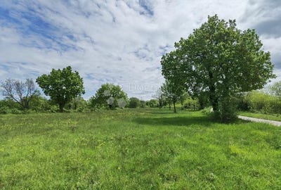 /international/hr/istarska-zupanija-istria-county-310108240775/