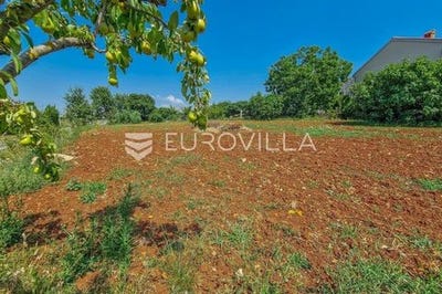 /international/hr/novigrad-istria-county-120093301480/