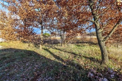 /international/hr/rovinj-istria-county-310105407808/