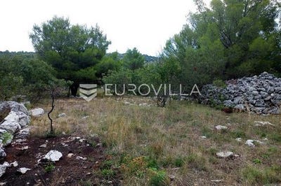 /international/hr/supetar-split-dalmatia-county-310102674816/