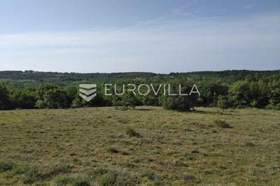 /international/hr/porec-istria-county-310106547820/