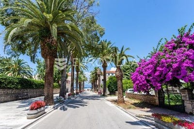 /international/hr/brac-split-dalmatia-county-310106690359/