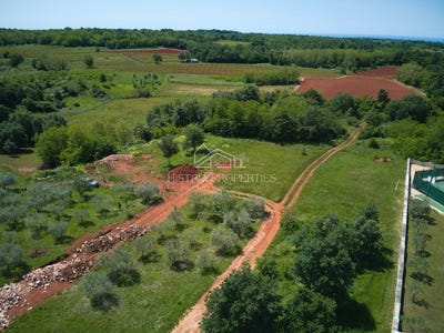 /international/hr/istarska-zupanija-istria-county-310108159710/