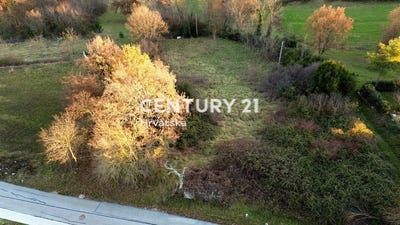 /international/hr/istarska-zupanija-istria-county-310096247072/