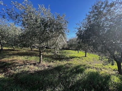 /international/hr/istarska-zupanija-istria-county-310103992787/
